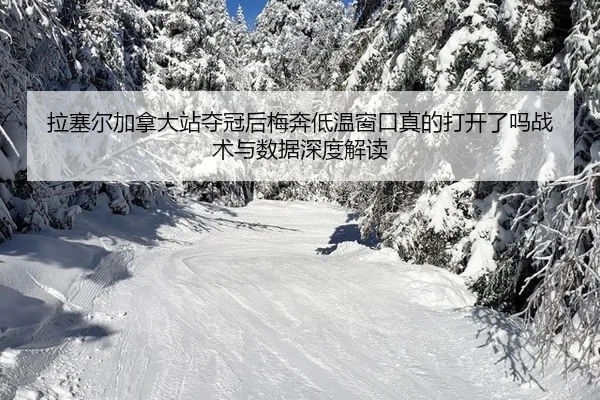 la-sai-er-jia-na-da-zhan-duo-guan-hou-mei-ben-di-wen-chuang-kou-zhen-de-da-kai-le-ma-zhan-shu-yu-shu-ju-shen-du-jie-du-2-696.jpg
